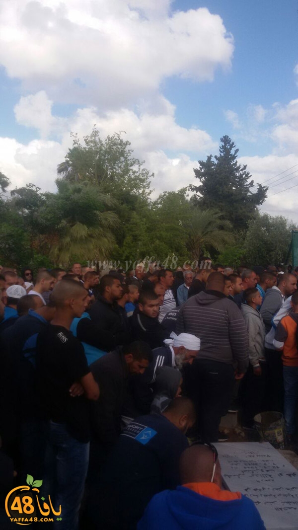 tashye3 sana3e lud (8).JPG